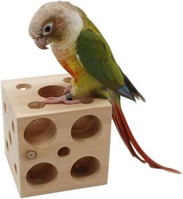 img 4 attached to QBLEEV Bird Wooden Block Chewing Toy: Tabletop Puzzle Foraging Toy for Parrots, Hamsters, Guinea Pigs, and More!