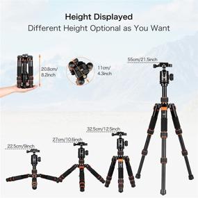 img 1 attached to Compact and Adjustable Koolehaoda Portable Tabletop Mini Tripod: DSLR Camera Tripod with Ball Head, Height Range 9-21.5inch, Includes Carrying Bag (Orange)