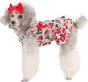 img 3 attached to 🎄 CuteBone Christmas Dog Dress Cat Clothes Puppy Outfit Shirt for Small Dogs Girls - Ideal Costume Birthday Gift