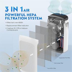 img 3 attached to 🌬️ Powerful H13 Smart True HEPA Air Purifier for Large Rooms up to 495 ft² - Remove 99.97% Hairs, Dust, and Smoke in Bedroom