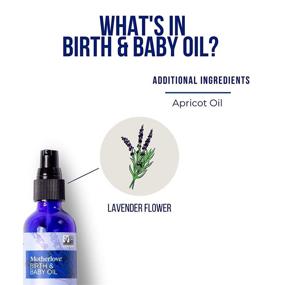 img 1 attached to Motherlove Birth & Baby Oil: Lavender-Infused Perineal, Labor & Baby Massage Oil for Gentle Moisturization – 2oz Vegan, Non-GMO, Organic Herbs, Cruelty Free