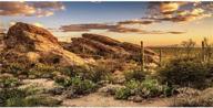 🌵 awert reptile habitat background with blue sky, oasis cactus, sun, and desert terrarium design - polyester background for enhanced durability logo
