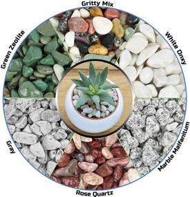 img 1 attached to Galashield Decorative Pebbles for Succulents, Aquariums, Fish Tanks, Vases, and Planters [2 lbs, 1-2 cm]