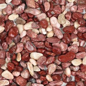 img 4 attached to Galashield Decorative Pebbles for Succulents, Aquariums, Fish Tanks, Vases, and Planters [2 lbs, 1-2 cm]