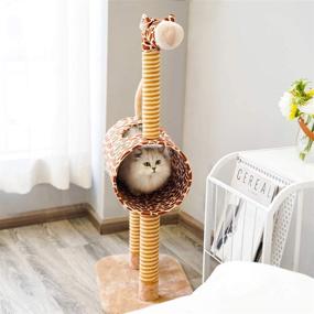 img 1 attached to Furrytail Cute Activity Cat Tree Condo with Scratching Post and Teasing Toy: 41-Inch Cat Tower Kitten Play Tunnel House Furniture