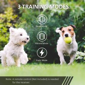 img 3 attached to ⚡ Rechargeable Shock Collar Receiver by Dogcare with Adjustable Collar - Dog Training with Enhanced SEO