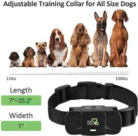 img 2 attached to ⚡ Rechargeable Shock Collar Receiver by Dogcare with Adjustable Collar - Dog Training with Enhanced SEO