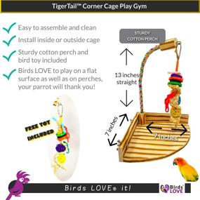 img 3 attached to 🦜 Bird's Favorite: TigerTail Play Gym Tabletop with Cup, Toy Hanger and Complimentary Parrot Toy – Select Style and Size for Optimal Experience!