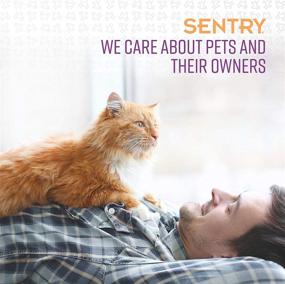 img 1 attached to Улучшение кошачьего благополучия: SENTRY PET CARE Спокойствие ошейник для кошек.