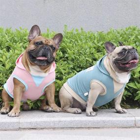 img 1 attached to 🐶 Stay Stylish and Comfy: iChoue Sleeveless Dog Hoodies for Fashionable Pets