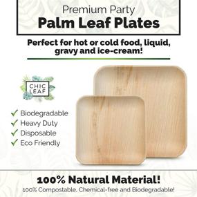 img 3 attached to 🌿 Bamboo Style Palm Leaf Plates Set - Pack of 24 - Dinner (12) &amp; Salad Plates (12) - Compostable Biodegradable Dinnerware, Eco-Friendly Party Pack