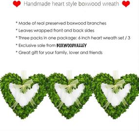 img 3 attached to BoxwoodValley Preserved Heart Shaped Mini Boxwood Wreath Set of 3 - Valentine's Day Gift - Door, Wall, and Window Wedding Party Decoration - 6 inch Boxwood Heart Wreath Set / 3