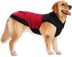 img 1 attached to 🐾 ASENKU Color Matching Dog Coat - Stay Warm & Stylish with this Waterproof and Windproof Dog Jacket!