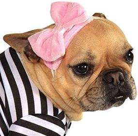 img 2 attached to Rubie's 50s Girl Pet Costume: Perfect Retro Attire for Your Furry Friend!