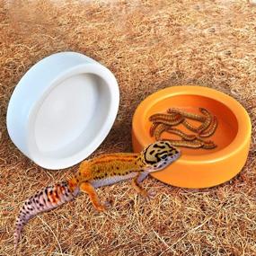 img 2 attached to Set of 3 Reptile Feeding Tongs - Long Tweezers for Cricket Clamp, Bug Scooper, and 2 Ceramic Reptile Food Bowls - Lizard Gecko Food Water Dish for Bearded Dragon Feeding including Worm Dish