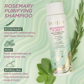 img 1 attached to 🌿 Pacifica Beauty Rosemary Purify Invigorating Shampoo + Conditioner: Detox Scalp & Hair, 100% Vegan & Cruelty-Free, Sulfate & Paraben Free