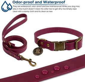 img 1 attached to 🐾 Wisedog Dog Collar and Leash Set Combo: Adjustable and Durable Training Pet Collars with Leashes for Small, Medium, and Large Dogs - Includes Bonus Poop Bag Holder