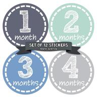 months in motion baby monthly stickers for newborn boys - capture precious milestones (12 count) logo