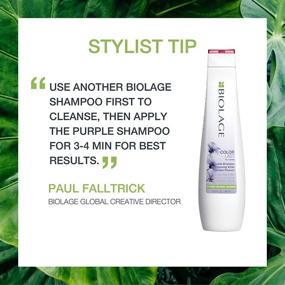 img 1 attached to 💜 BIOLAGE ColorLast Purple Shampoo: Neutralize Brass & Unwanted Yellow Tones