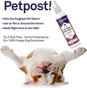 img 3 attached to 🐾 Petpost Natural Pet Odor Eliminator Spray for Dogs & Cats - Powerful Deodorant and Smell Remover - Ideal for Spraying Your Pet or Freshening Up Your Home