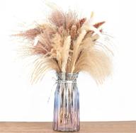 🌾 60-piece set: nature-dried pampas grass decor, tall white pampas grass for home decoration, bouquet props, party & wedding decoration - includes 15 natural color, 15 white, and 30 beige flowers logo