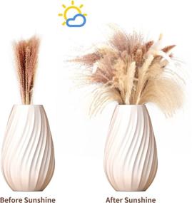 img 3 attached to 🌾 60-Piece Set: Nature-Dried Pampas Grass Decor, Tall White Pampas Grass for Home Decoration, Bouquet Props, Party & Wedding Decoration - Includes 15 Natural Color, 15 White, and 30 Beige Flowers