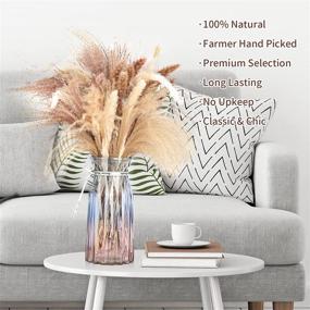 img 1 attached to 🌾 60-Piece Set: Nature-Dried Pampas Grass Decor, Tall White Pampas Grass for Home Decoration, Bouquet Props, Party & Wedding Decoration - Includes 15 Natural Color, 15 White, and 30 Beige Flowers