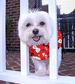 img 1 attached to 🐶 Puppy Bumpers Red Dog: A Perfect Fit for Small Breeds (10-13")