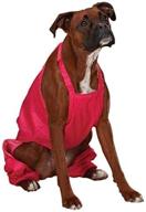 casual canine nylon medium raspberry dogs logo