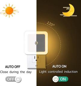 img 3 attached to SIVMIG Controlled Induction Подходит для склада