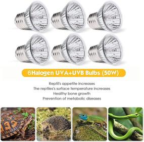 img 3 attached to 🔆 Jomddems Reptile Heating Lamp - 6 UVA/UVB Bulbs (50W) for Turtle Tank Habitat, Lizard, and More - E27, 110V