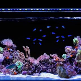 img 3 attached to 🔆 Immerse Your Saltwater Reef Aquarium in Brilliance with CURRENT USA Orbit Marine IC LED Light: Unmatched Wireless Lighting & Wave Pump Control via Loop App - Bluetooth