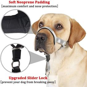 img 1 attached to 🐶 Dog Head Collar: Effective No Pull Training Aid for Dogs on Walks, Inclusive of Free Training Guide, Comfortable Padding, 5