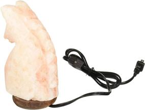 img 1 attached to 🐴 Himalayan Crystal Salt Lamp for Horses - Evolution Salt EHRS, 6-7 lbs