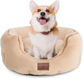 img 4 attached to 🐱 WINDRACING PET Cat Beds: Cozy, Washable Donut Bed for Indoor Cats & Small Dogs in Grey Color