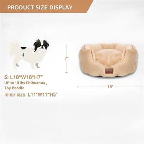 img 2 attached to 🐱 WINDRACING PET Cat Beds: Cozy, Washable Donut Bed for Indoor Cats & Small Dogs in Grey Color