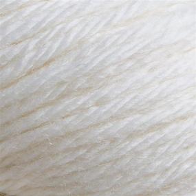 img 2 attached to Premium Quality Knit Picks Wool of The Andes Bulky Weight 100% Wool Yarn - 1 Hank in Classic White Shade