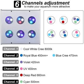 img 1 attached to 🐠 78W LED Aquarium Light: Programmable Sunrise Sunset Coral Reef Fish Tank Light for Marine Tank - Enhanced Saltwater Lighting