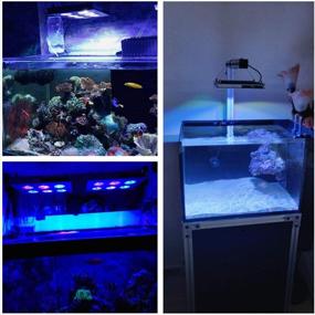 img 3 attached to 🐠 78W LED Aquarium Light: Programmable Sunrise Sunset Coral Reef Fish Tank Light for Marine Tank - Enhanced Saltwater Lighting