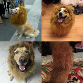 img 2 attached to 🦁 Refial Dog Lion Mane: Wig Costumes with Ears & Tail for Holiday Photoshoots - Perfect for Medium to Large Sized Dogs