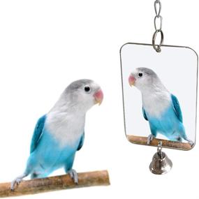 img 4 attached to Mirror Mirrors Parakeets Parakeet 3 14W