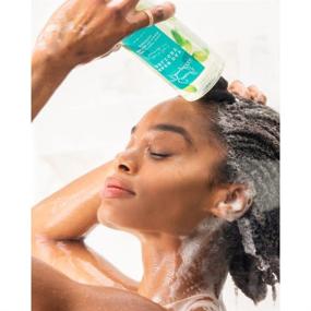 img 1 attached to 🌿 Clarifying Shampoo and Conditioner Set - Carol's Daughter Wash Day Delight, Sulfate Free, with Aloe - Ideal for Curly, Natural Hair - Includes 2 Full Size Products ($22 Value)