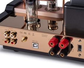img 1 attached to 🎧 Dared MP-5BT Stereo Vacuum Tube Integrated Amplifier, Hybrid Amplifier with Bluetooth Connection, USB/DAC Input, Headphone Output, Pre Output, 25Wx2, including Tubes 6N1x1, 6N2x1, 6E2x1