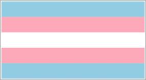 img 2 attached to Transgender Flag Decal Rainbow Transsexual