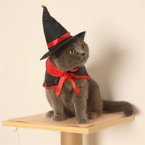 img 2 attached to 🐾 Halloween Pet Costume: Spooky Demon Cloak Bat Classic Monsters Clothes with Devil Headband - Perfect Cosplay Party Outfit for Dogs, Cats, Puppies, and Kittens