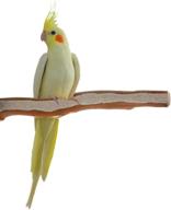 🐦 sweet feet & beak: premium manzanita pumice pedicure perch for happy & healthy birds - easy installation, natural design for nail and beak care! logo