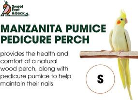 img 3 attached to 🐦 SWEET FEET & BEAK: Premium Manzanita Pumice Pedicure Perch for Happy & Healthy Birds - Easy Installation, Natural Design for Nail and Beak Care!