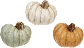 img 1 attached to 🎃 Resin Pumpkin Figurines Assorted Set of 3, Rustic Wood-Carved Look, 4.5 x 3.5 Inches - RAZ Imports
