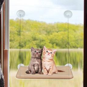 img 4 attached to 🐈 JOCHA Cat Window Perch Hammock Bed - Indoor Cats Space Saving Safety, Heavy Duty & Sturdy Design, Holds up to 30 lbs, Window Sill Mounted Cat Bed for 360° Sunbathing