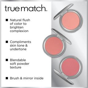 img 1 attached to L'Oreal Paris True Match Blush: Tender Rose Shade, 0.21 oz - Expert Review & Best Deals